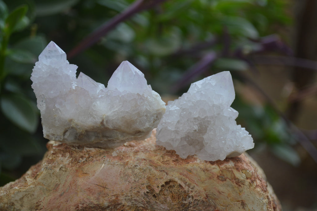 Natural Amethyst Spirit Quartz Clusters x 20 From Boekenhouthoek, South Africa - Toprock Gemstones and Minerals 
