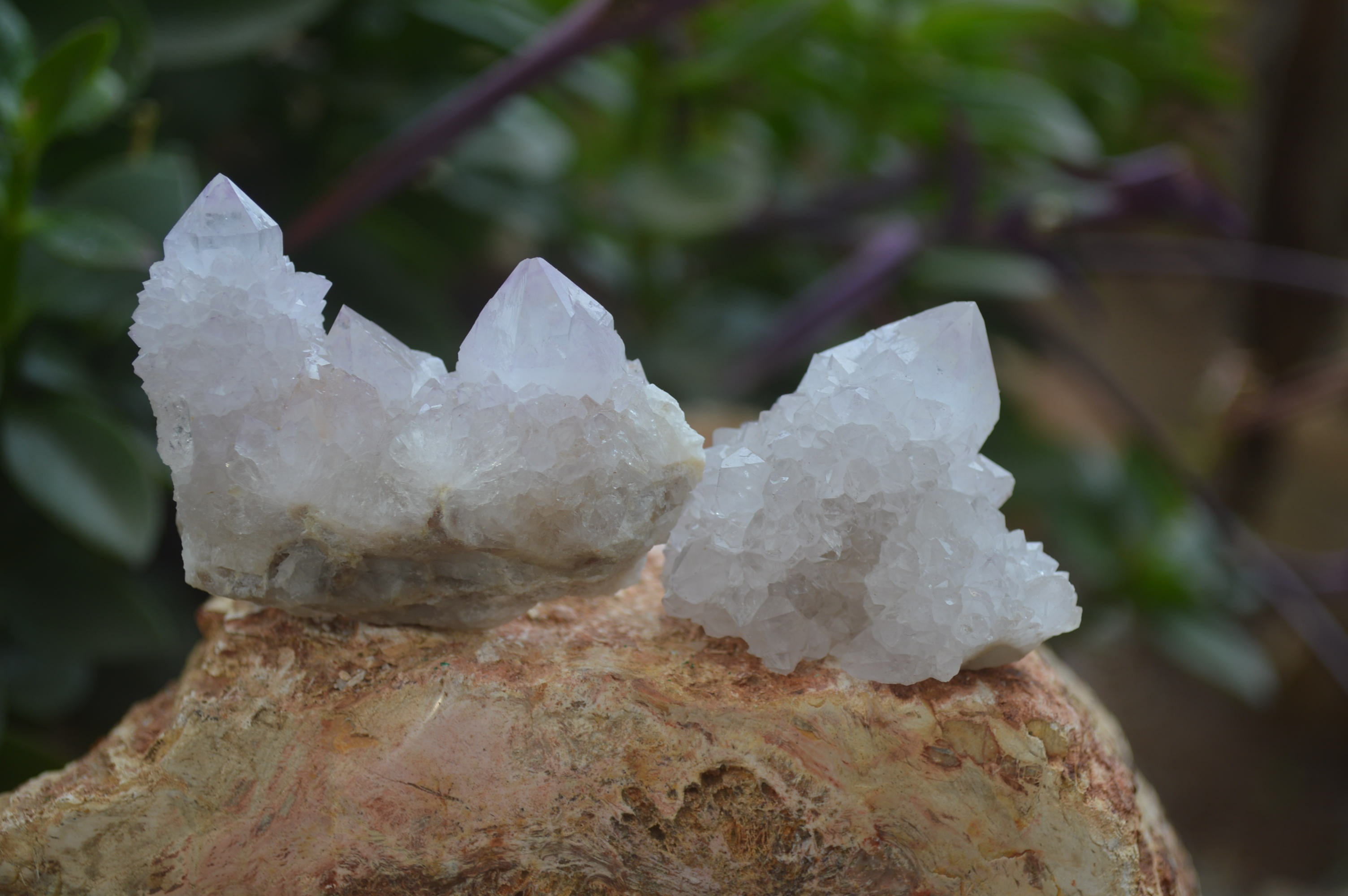 Natural Amethyst Spirit Quartz Clusters x 20 From Boekenhouthoek, South Africa - Toprock Gemstones and Minerals 