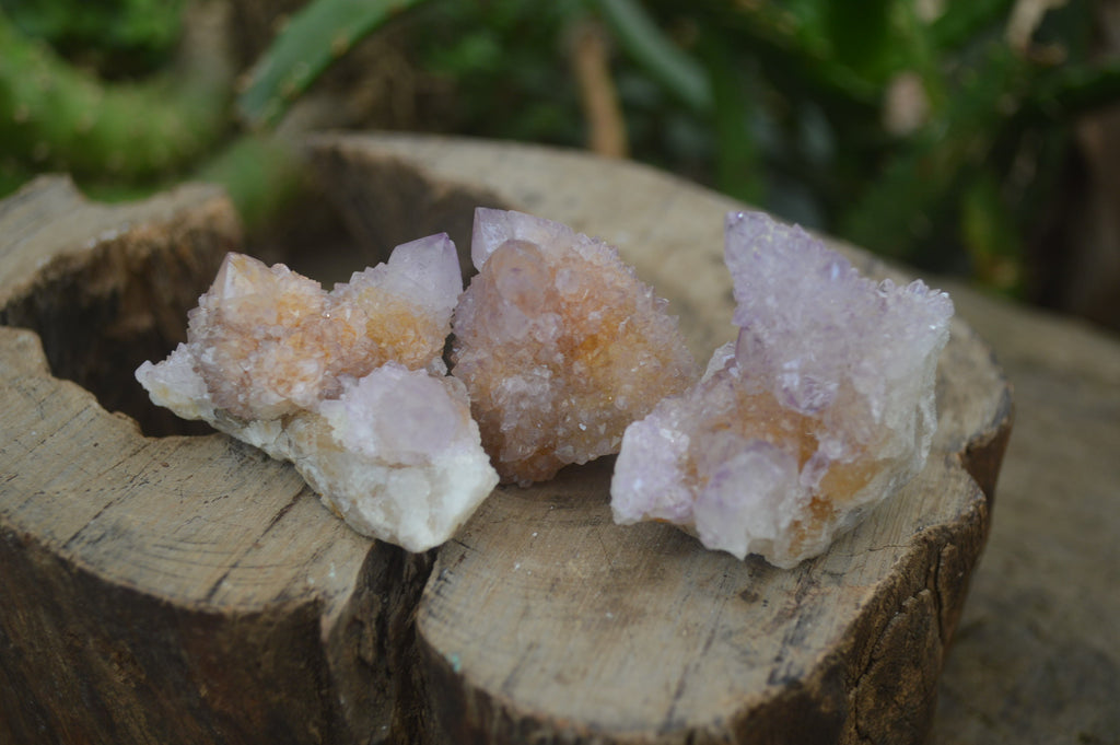 Natural Amethyst Spirit Quartz Clusters x 20 From Boekenhouthoek, South Africa - Toprock Gemstones and Minerals 