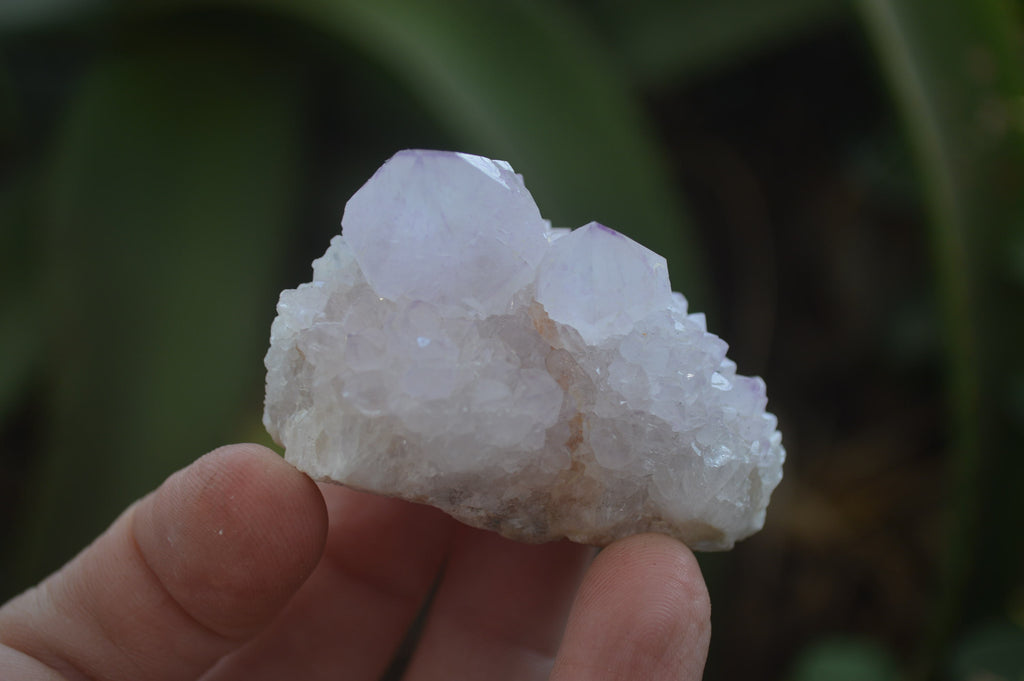 Natural Amethyst Spirit Quartz Clusters x 20 From Boekenhouthoek, South Africa - Toprock Gemstones and Minerals 