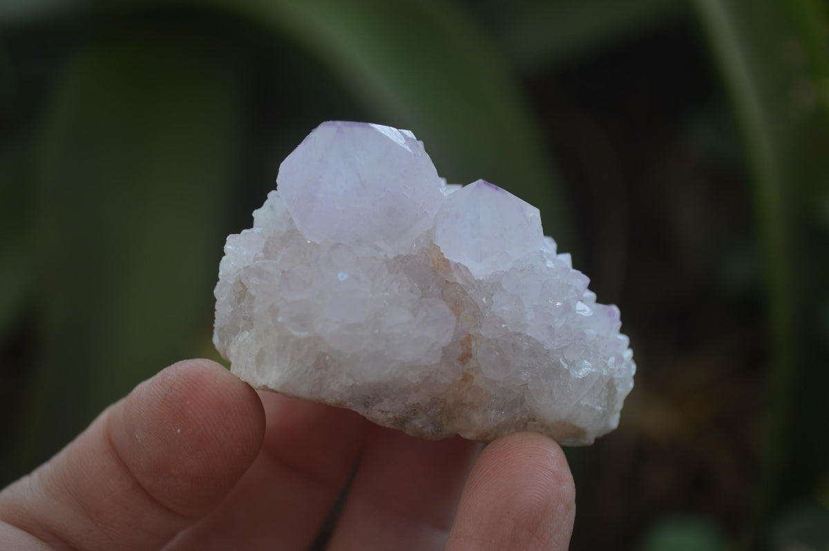Natural Amethyst Spirit Quartz Clusters x 20 From Boekenhouthoek, South Africa - Toprock Gemstones and Minerals 