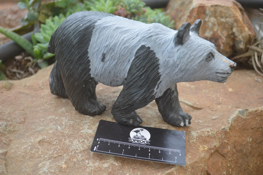 Polished Wonder Stone Panda Bear Carving x 1 From Zimbabwe - Toprock Gemstones and Minerals 