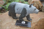 Polished Wonder Stone Panda Bear Carving x 1 From Zimbabwe - Toprock Gemstones and Minerals 