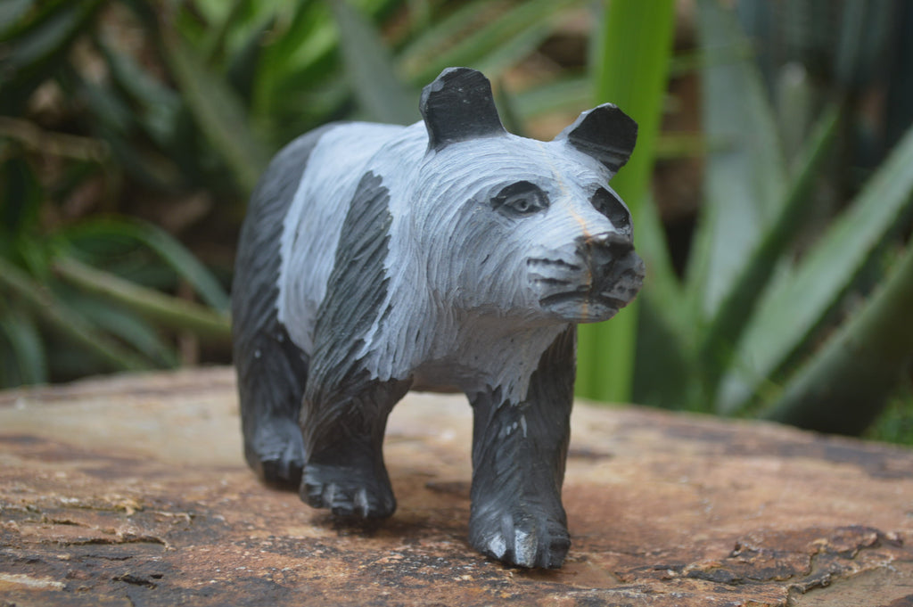 Polished Wonder Stone Panda Bear Carving x 1 From Zimbabwe - Toprock Gemstones and Minerals 