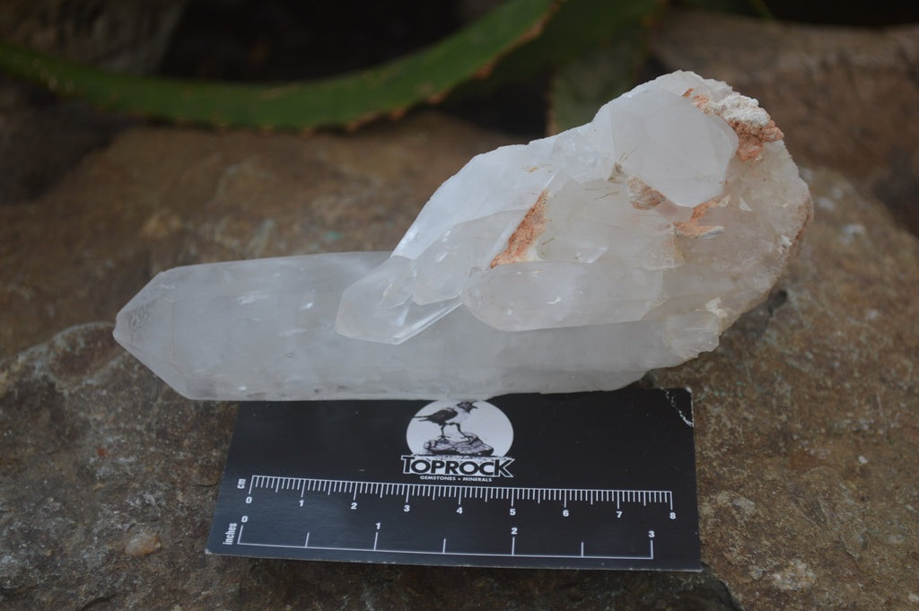 Natural Clear Quartz Crystal Clusters x 12 From Madagascar - Toprock Gemstones and Minerals 