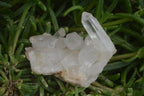 Natural Clear Quartz Crystal Clusters x 12 From Madagascar - Toprock Gemstones and Minerals 