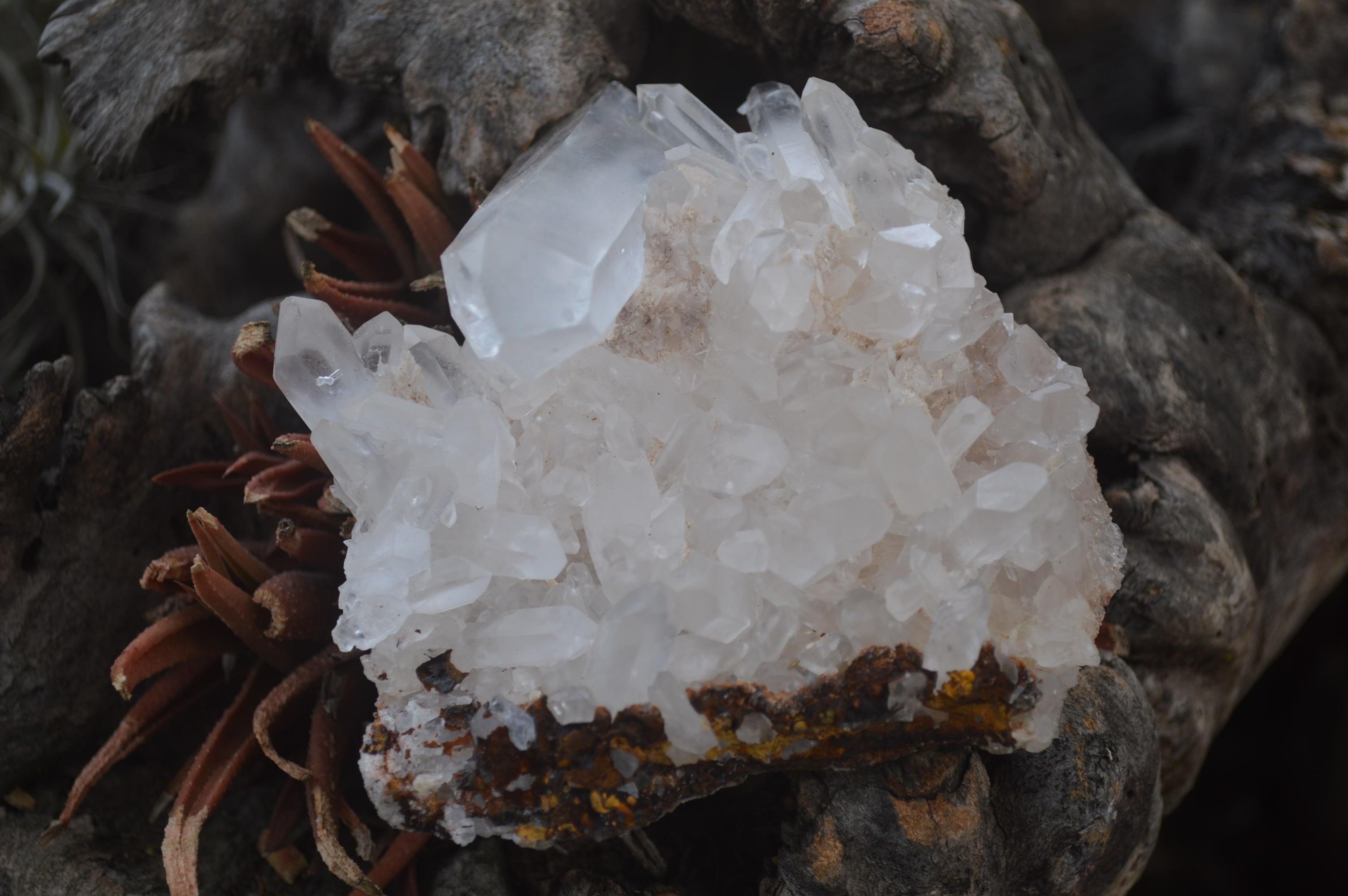 Natural Clear Quartz Crystal Clusters x 12 From Madagascar - Toprock Gemstones and Minerals 