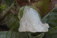 Natural Clear Quartz Crystal Clusters x 12 From Madagascar - Toprock Gemstones and Minerals 
