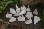 Natural Clear Quartz Crystal Clusters x 12 From Madagascar - Toprock Gemstones and Minerals 