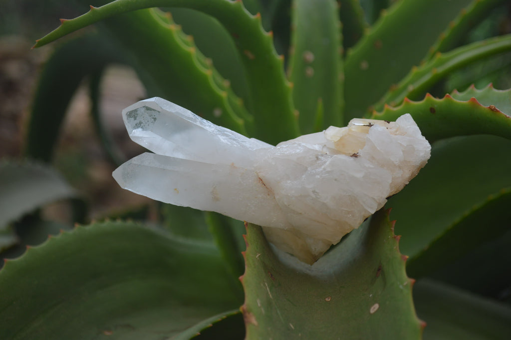 Natural Clear Quartz Crystal Clusters x 12 From Madagascar - Toprock Gemstones and Minerals 