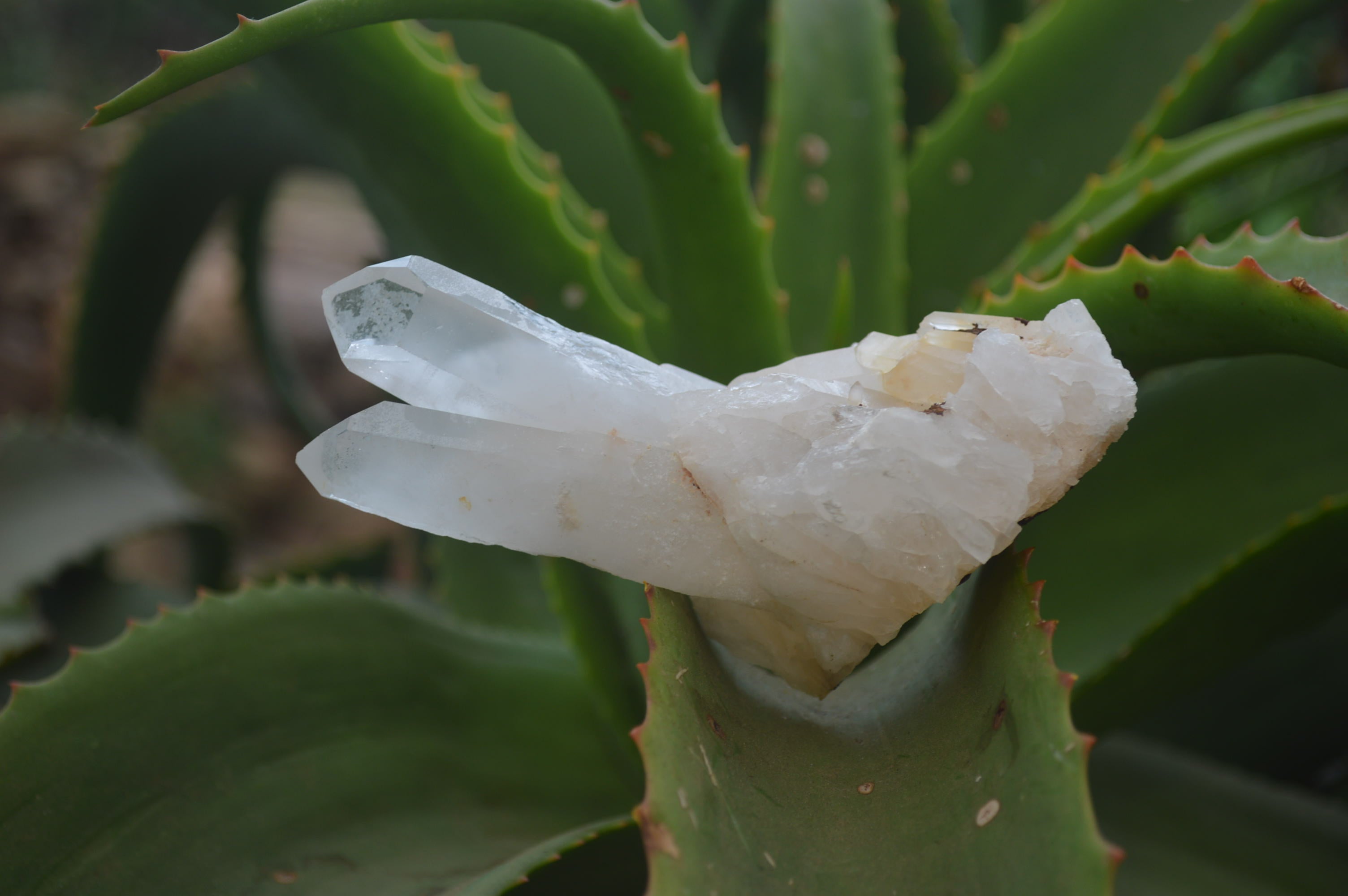 Natural Clear Quartz Crystal Clusters x 12 From Madagascar - Toprock Gemstones and Minerals 
