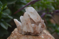 Natural Clear Quartz Crystal Clusters x 12 From Madagascar - Toprock Gemstones and Minerals 