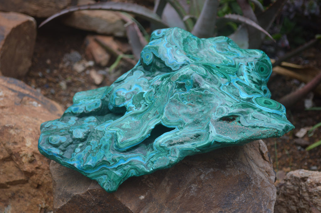 Polished Malacolla Free Form x 1 From Kulukuluku, Congo - Toprock Gemstones and Minerals 