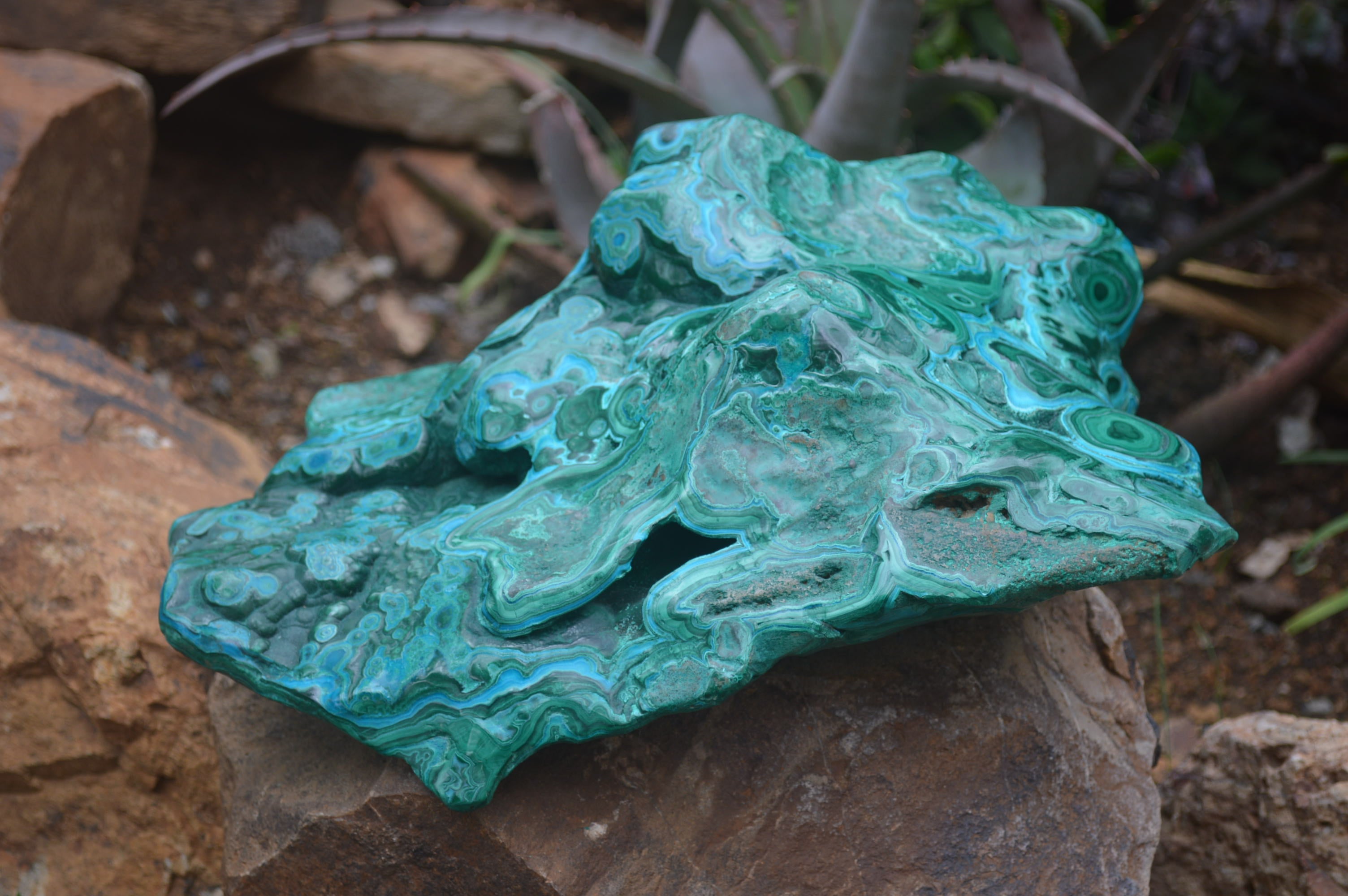 Polished Malacolla Free Form x 1 From Kulukuluku, Congo - Toprock Gemstones and Minerals 