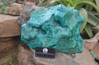 Polished Malacolla Free Form x 1 From Kulukuluku, Congo - Toprock Gemstones and Minerals 