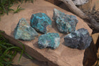 Natural Shattuckite with Chrysocolla, Malachite, Bornite and Chalcocite x 5 from Kaokoveld Namibia - Toprock Gemstones and Minerals 