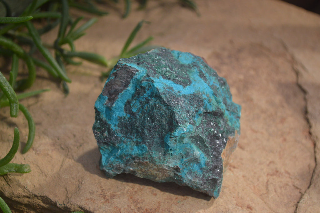 Natural Shattuckite with Chrysocolla, Malachite, Bornite and Chalcocite x 5 from Kaokoveld Namibia - Toprock Gemstones and Minerals 