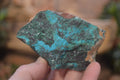 Natural Shattuckite with Chrysocolla, Malachite, Bornite and Chalcocite x 5 from Kaokoveld Namibia - Toprock Gemstones and Minerals 