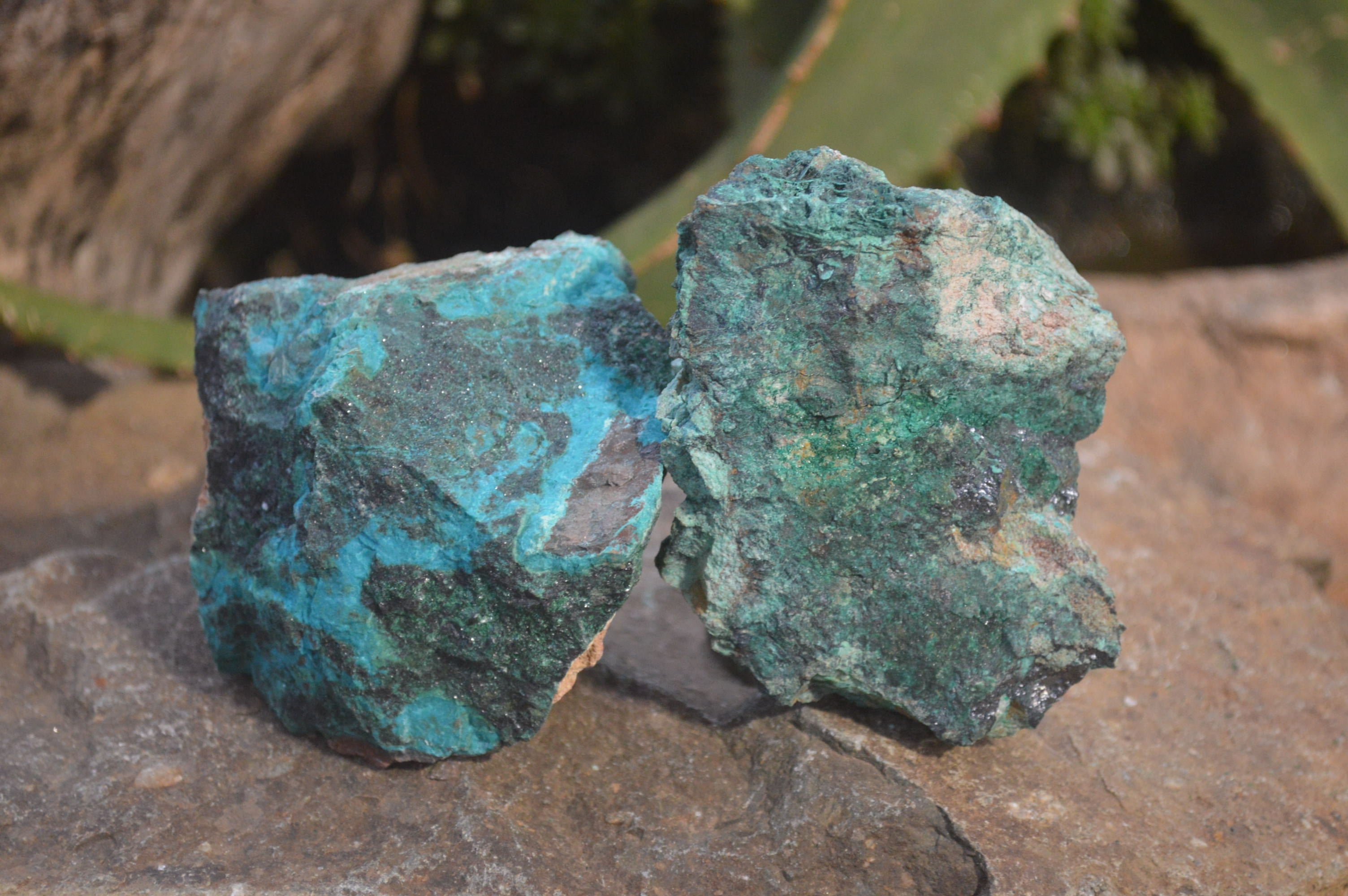 Natural Shattuckite with Chrysocolla, Malachite, Bornite and Chalcocite x 5 from Kaokoveld Namibia - Toprock Gemstones and Minerals 