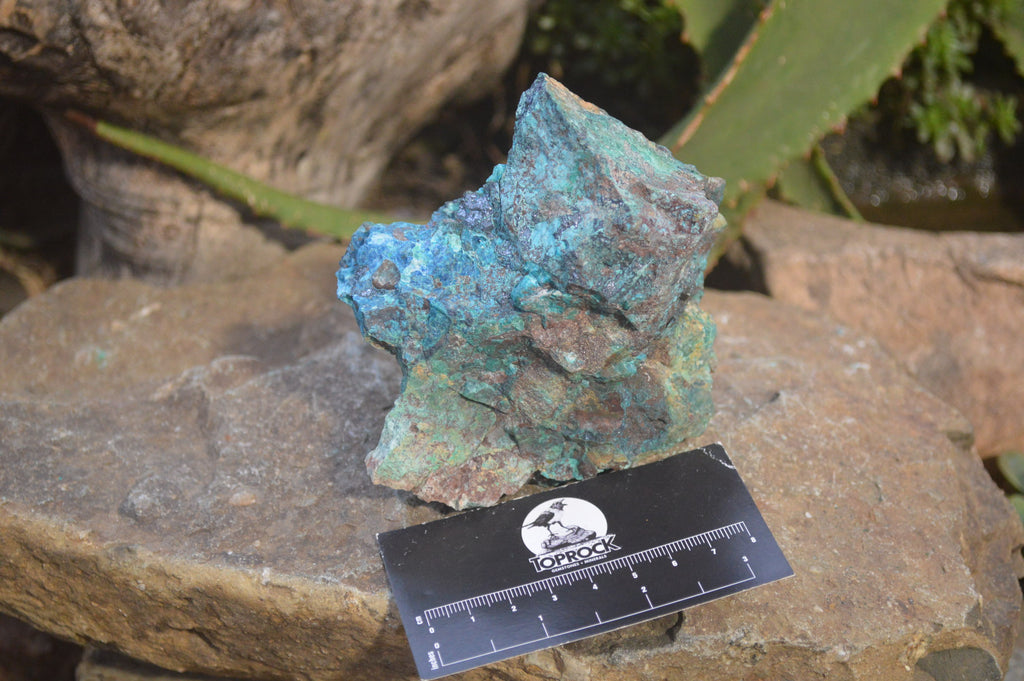 Natural Shattuckite with Chrysocolla, Malachite, Bornite and Chalcocite x 5 from Kaokoveld Namibia - Toprock Gemstones and Minerals 