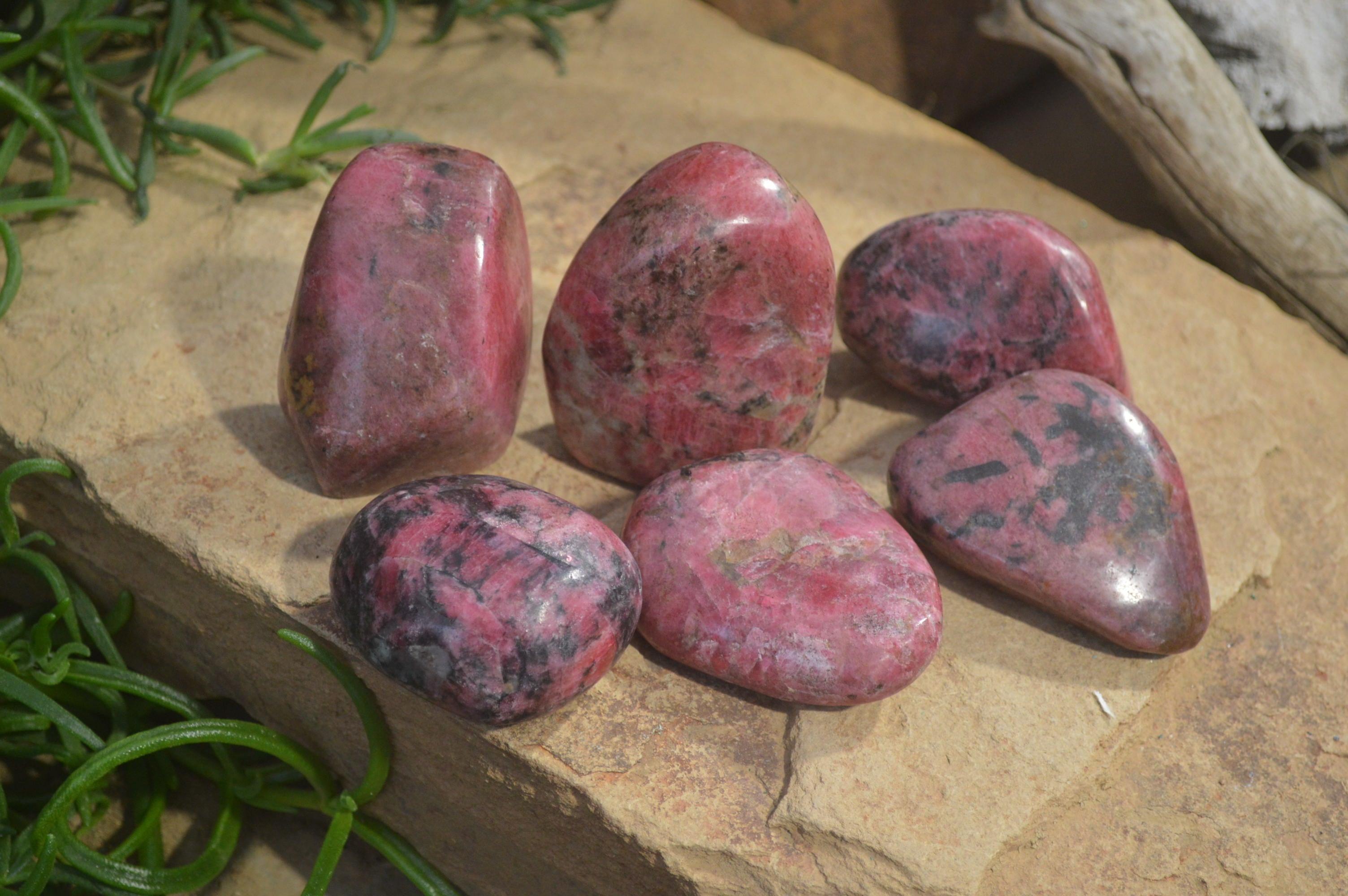 Polished Rhodonite Free Forms x 6 From Zimbabwe - Toprock Gemstones and Minerals 