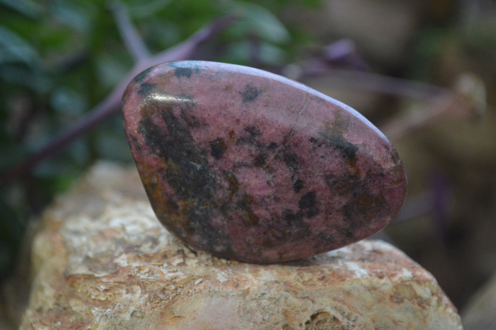 Polished Rhodonite Free Forms x 6 From Zimbabwe - Toprock Gemstones and Minerals 