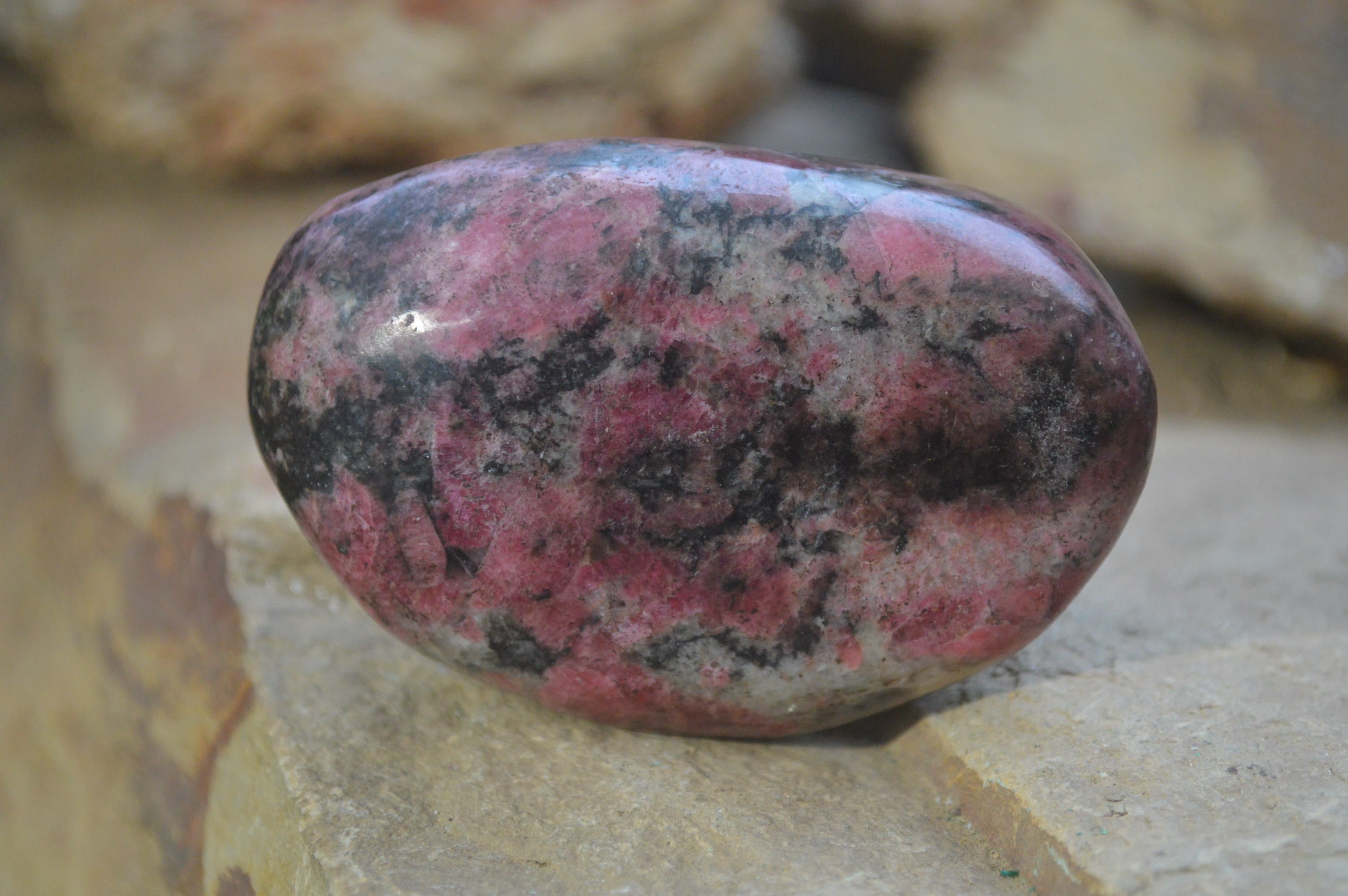 Polished Rhodonite Free Forms x 6 From Zimbabwe - Toprock Gemstones and Minerals 
