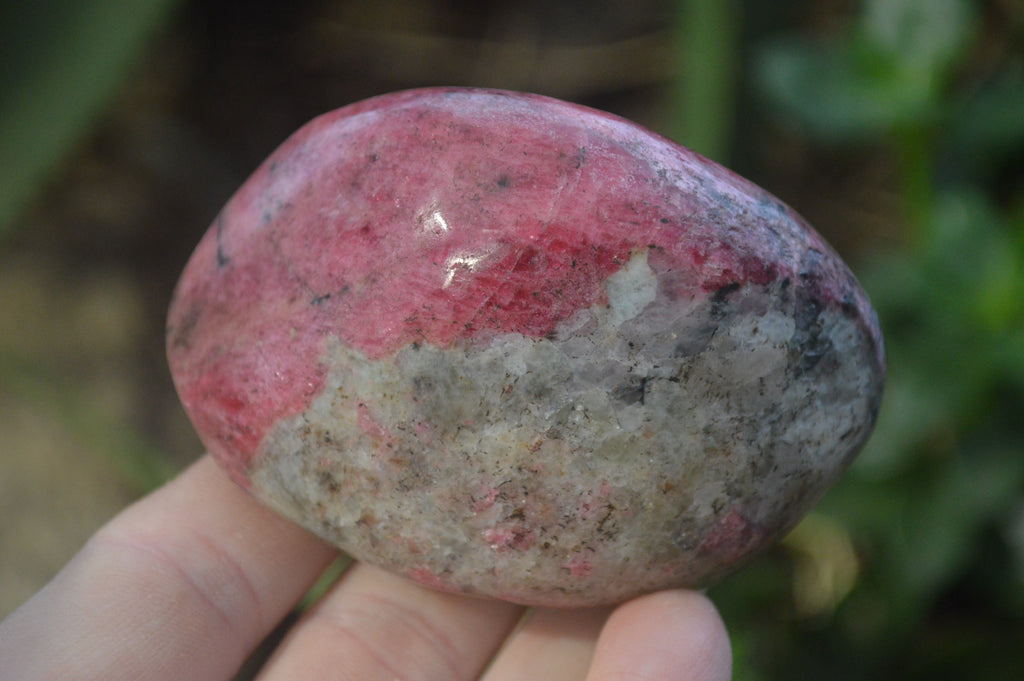 Polished Rhodonite Free Forms x 6 From Zimbabwe - Toprock Gemstones and Minerals 