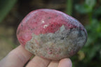 Polished Rhodonite Free Forms x 6 From Zimbabwe - Toprock Gemstones and Minerals 