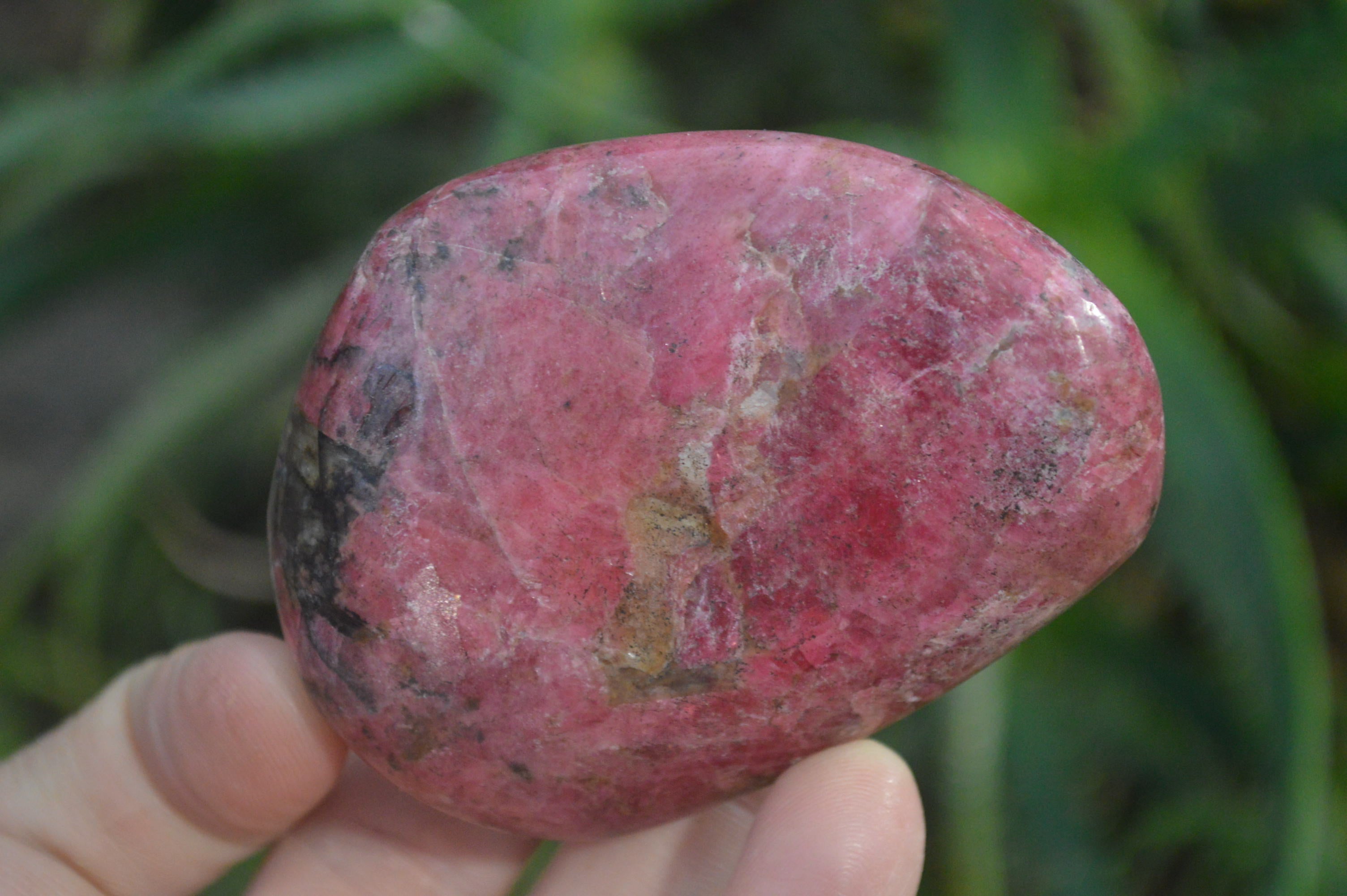 Polished Rhodonite Free Forms x 6 From Zimbabwe - Toprock Gemstones and Minerals 