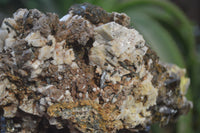 Natural Smokey Morion Crystal with Aegirine and Cluster with Orthoclase x 2 From Zomba, Malawi - Toprock Gemstones and Minerals 
