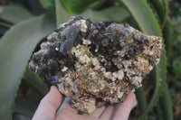 Natural Smokey Morion Crystal with Aegirine and Cluster with Orthoclase x 2 From Zomba, Malawi - Toprock Gemstones and Minerals 