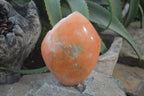 Polished Orange Twist Calcite Leaf Sculpture x 1 From Maevantanana, Madagascar - Toprock Gemstones and Minerals 