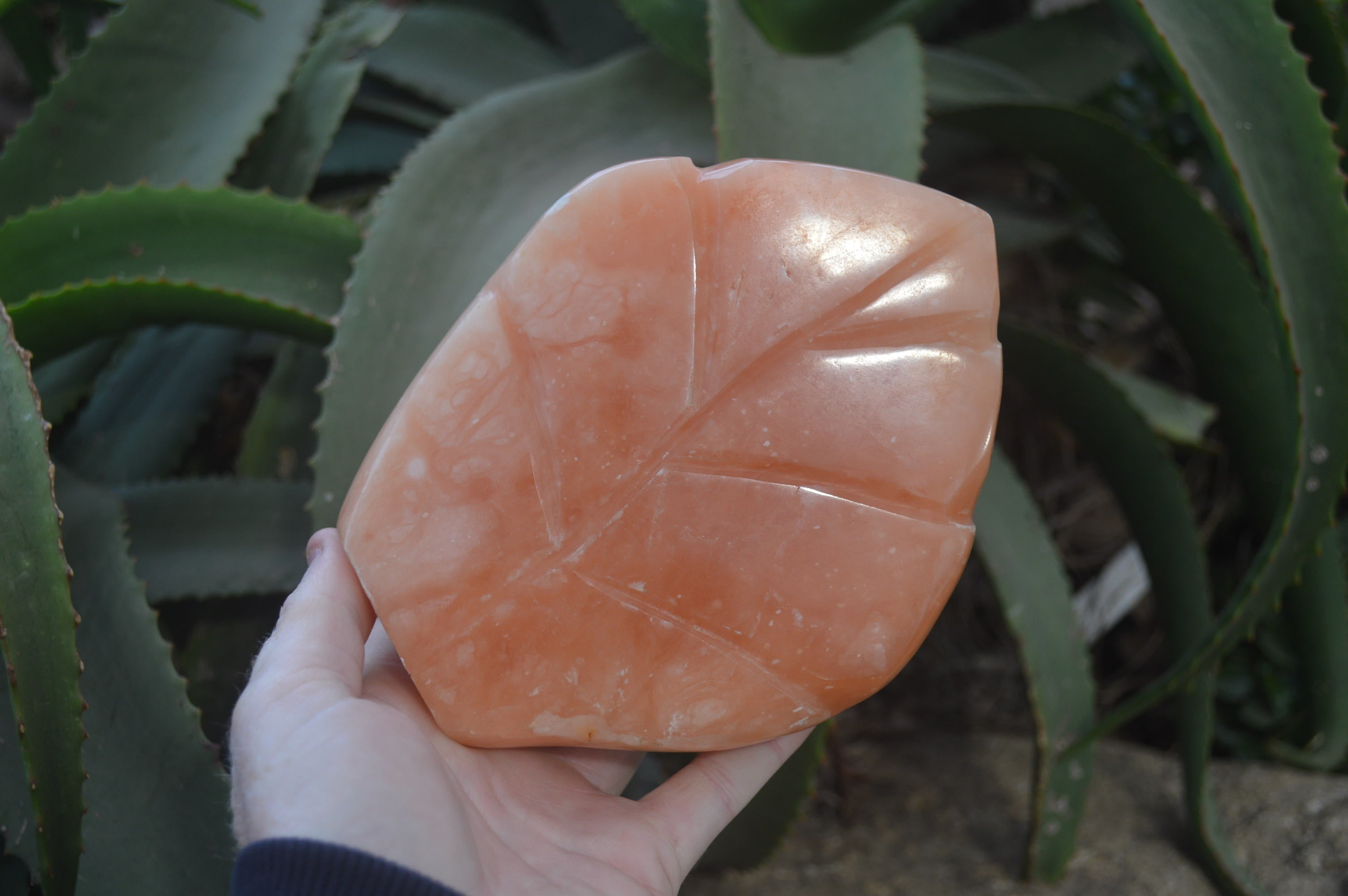 Polished Orange Twist Calcite Leaf Sculpture x 1 From Maevantanana, Madagascar - Toprock Gemstones and Minerals 