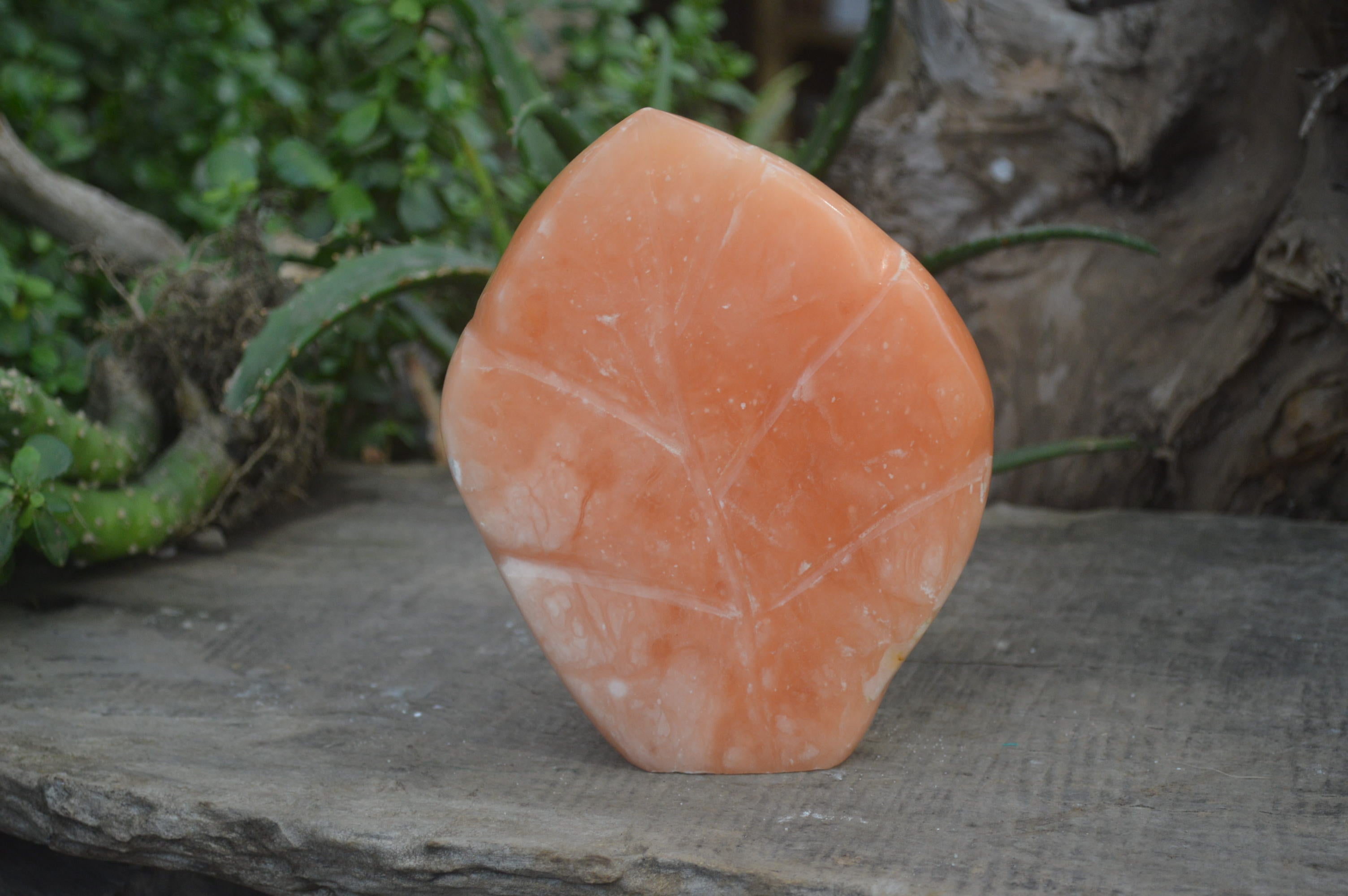 Polished Orange Twist Calcite Leaf Sculpture x 1 From Maevantanana, Madagascar - Toprock Gemstones and Minerals 