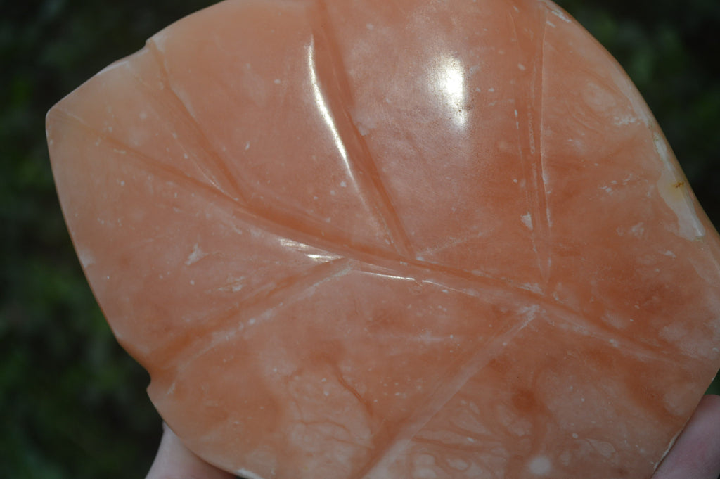Polished Orange Twist Calcite Leaf Sculpture x 1 From Maevantanana, Madagascar - Toprock Gemstones and Minerals 