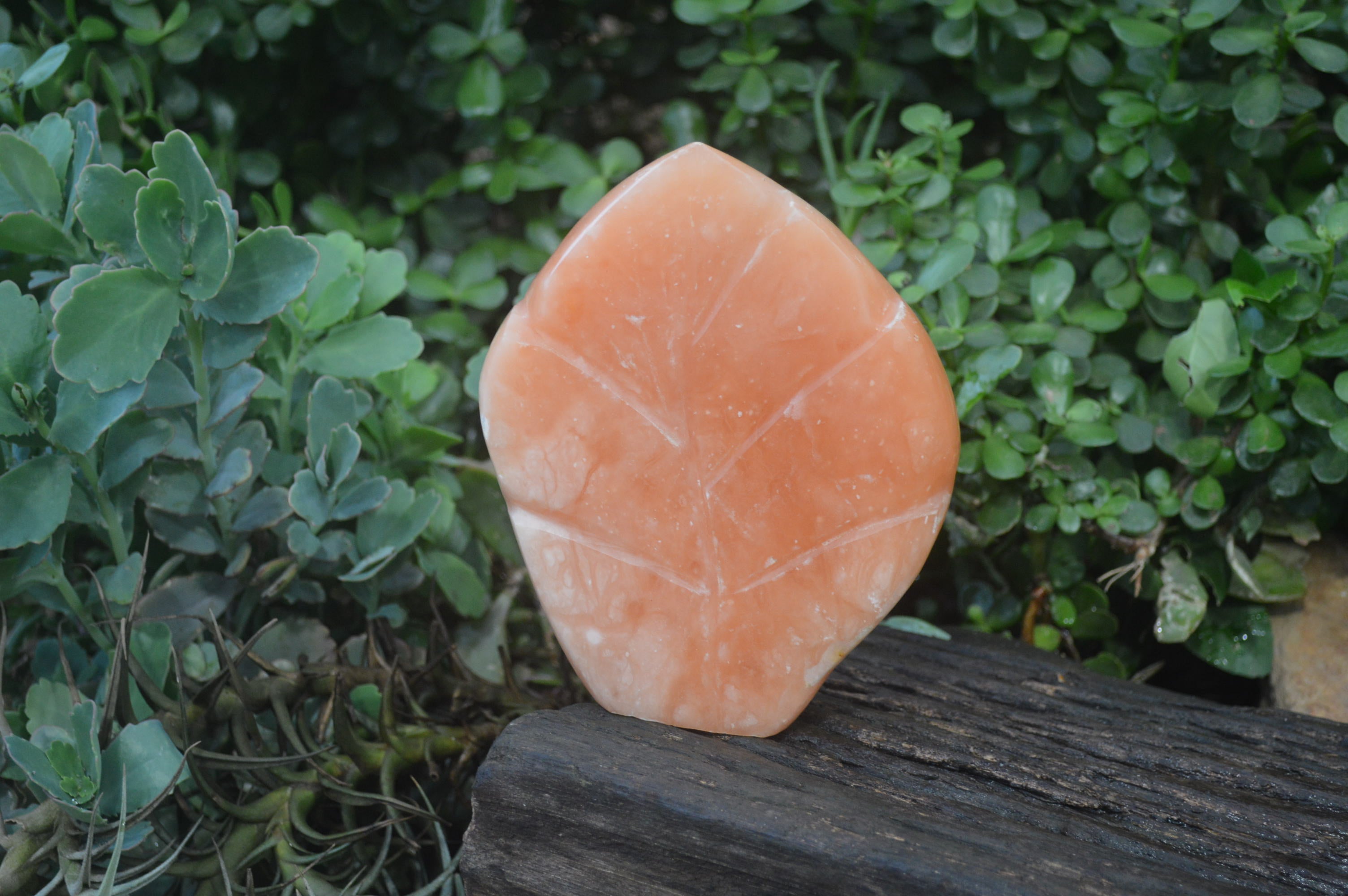 Polished Orange Twist Calcite Leaf Sculpture x 1 From Maevantanana, Madagascar - Toprock Gemstones and Minerals 
