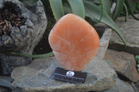 Polished Orange Twist Calcite Leaf Sculpture x 1 From Maevantanana, Madagascar - Toprock Gemstones and Minerals 
