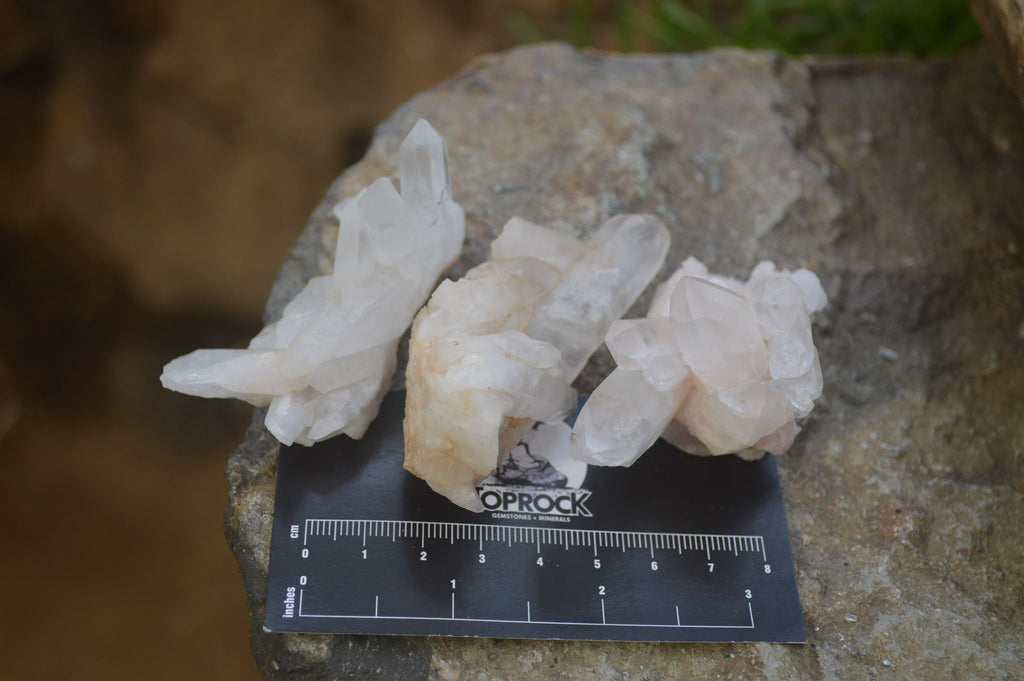 Natural Small Quartz Clusters x 35 From Madagascar - Toprock Gemstones and Minerals 