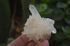 Natural Small Quartz Clusters x 35 From Madagascar - Toprock Gemstones and Minerals 