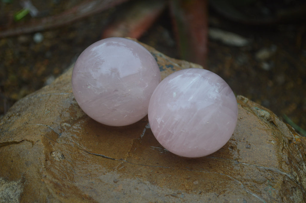 Polished Rose Quartz Sphere-Balls x 4 From Madagascar - Toprock Gemstones and Minerals 