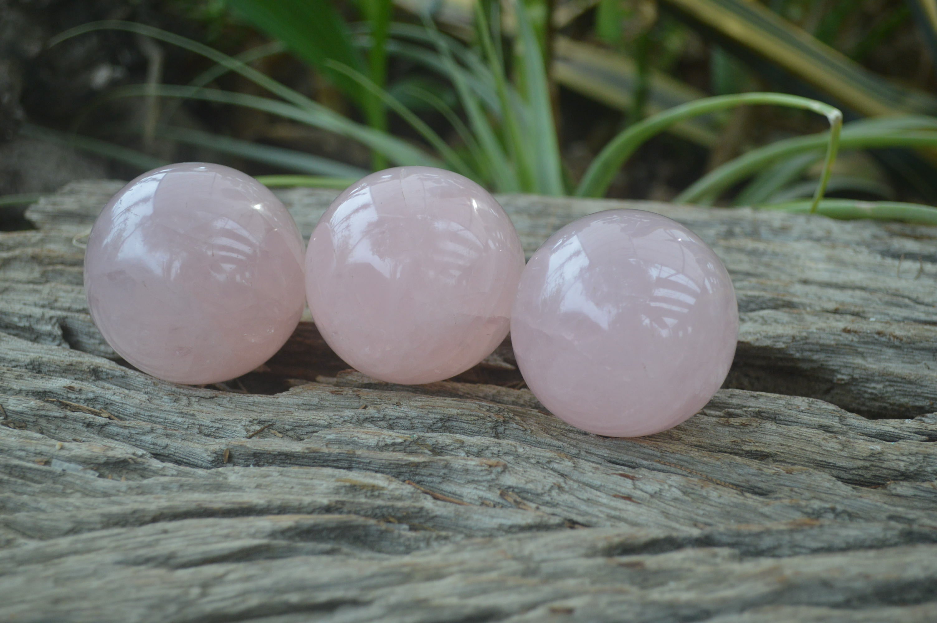 Polished Rose Quartz Sphere-Balls x 4 From Madagascar - Toprock Gemstones and Minerals 