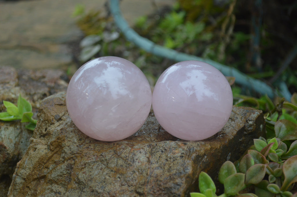 Polished Rose Quartz Sphere-Balls x 4 From Madagascar - Toprock Gemstones and Minerals 