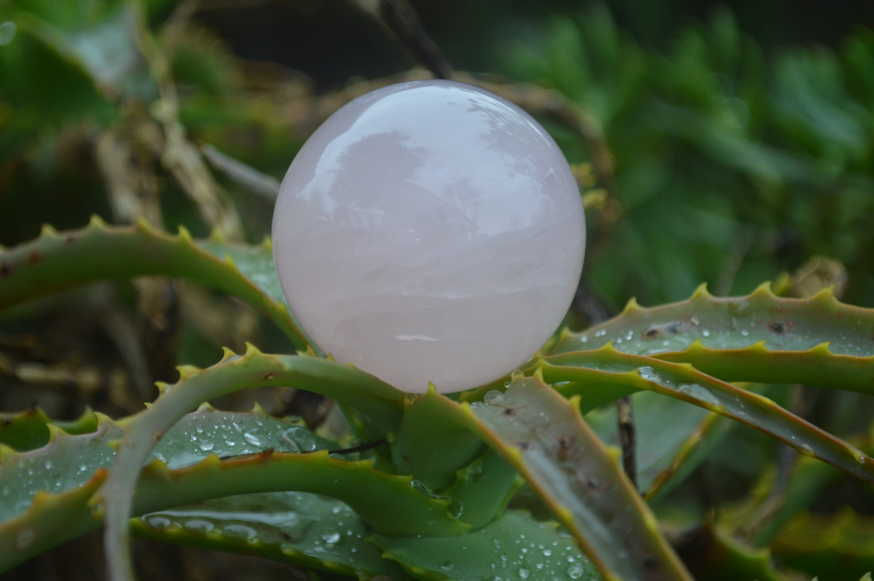 Polished Rose Quartz Sphere-Balls x 4 From Madagascar - Toprock Gemstones and Minerals 