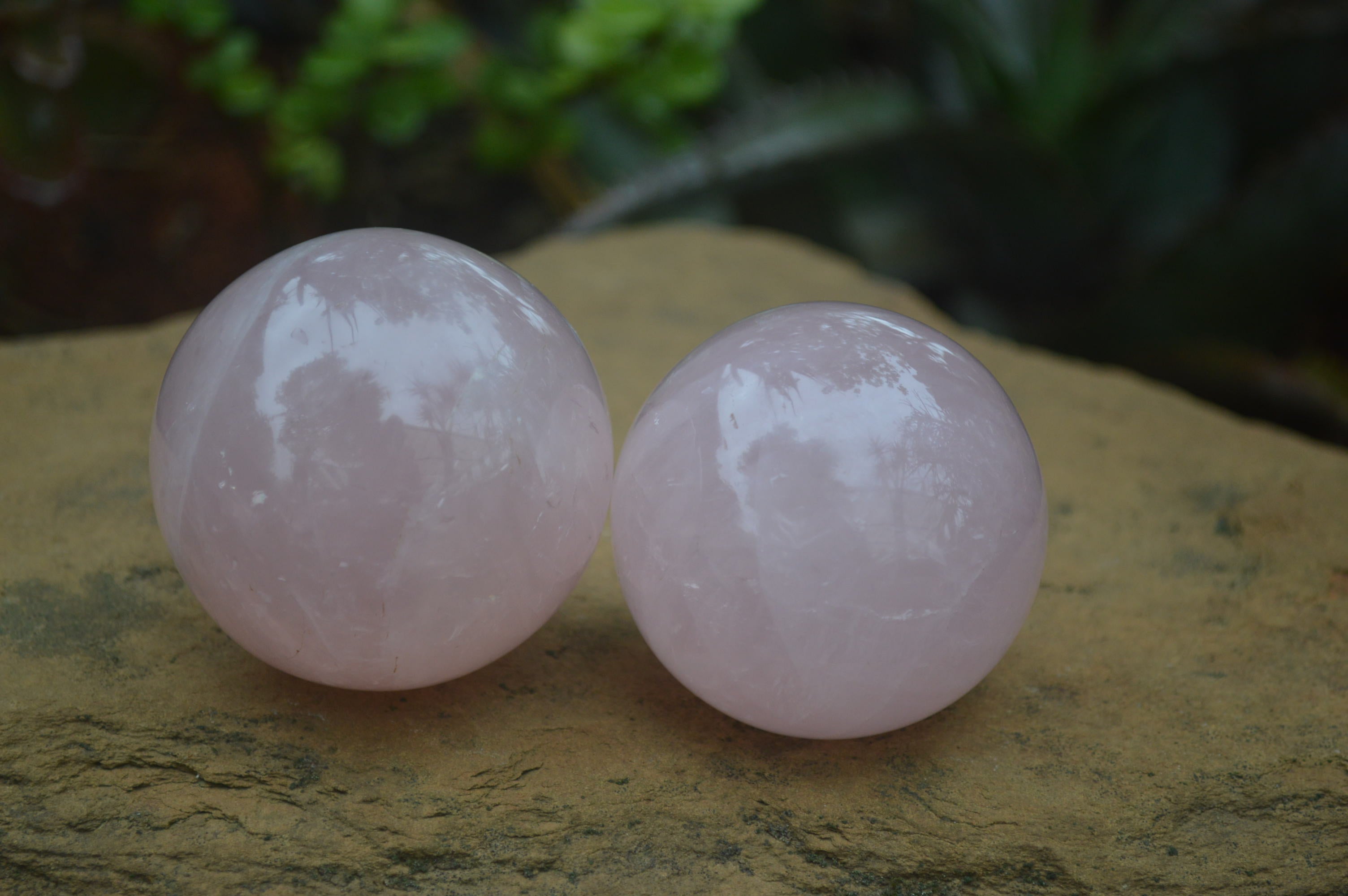 Polished Rose Quartz Sphere-Balls x 4 From Madagascar - Toprock Gemstones and Minerals 