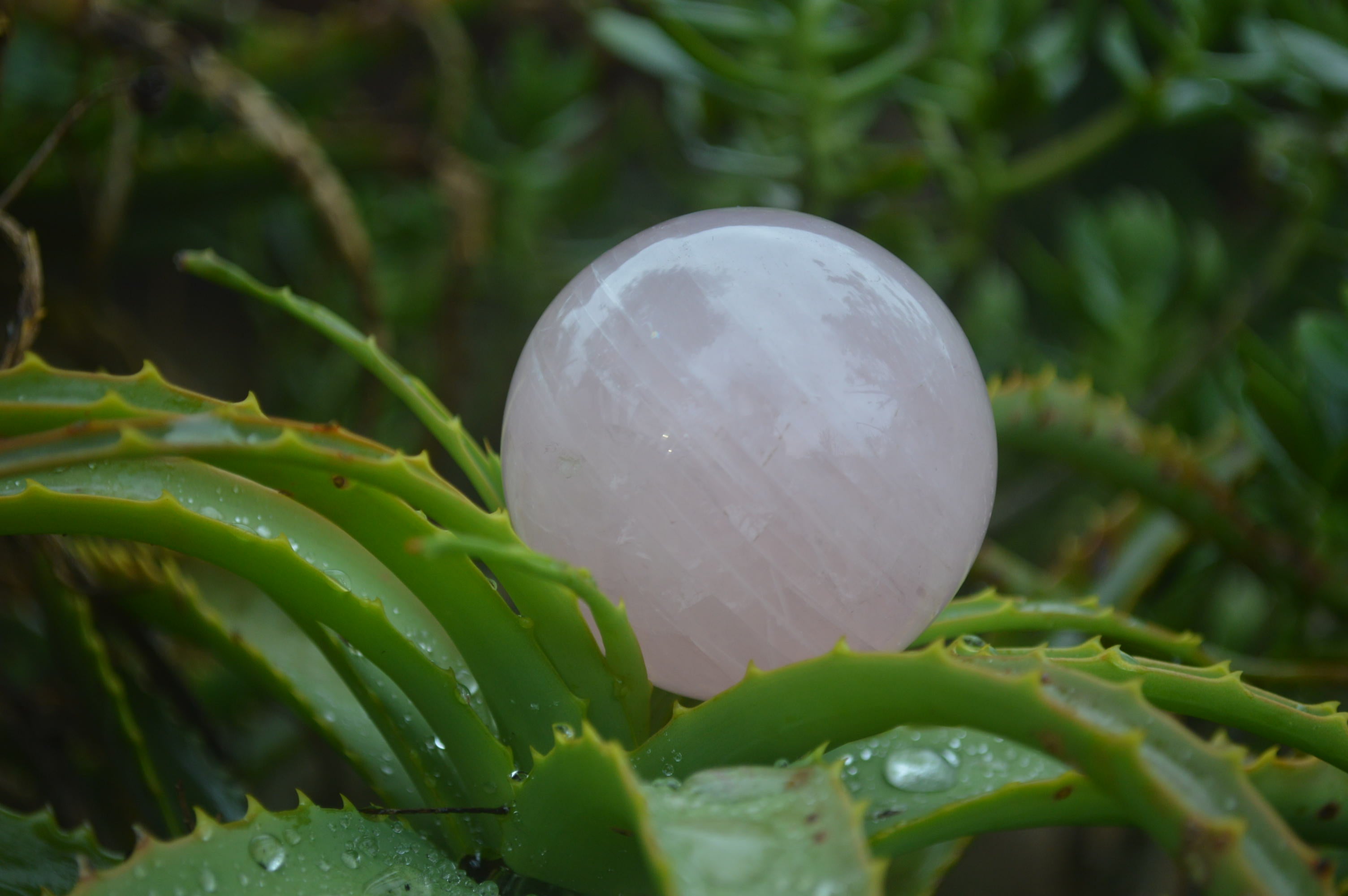 Polished Rose Quartz Sphere-Balls x 4 From Madagascar - Toprock Gemstones and Minerals 