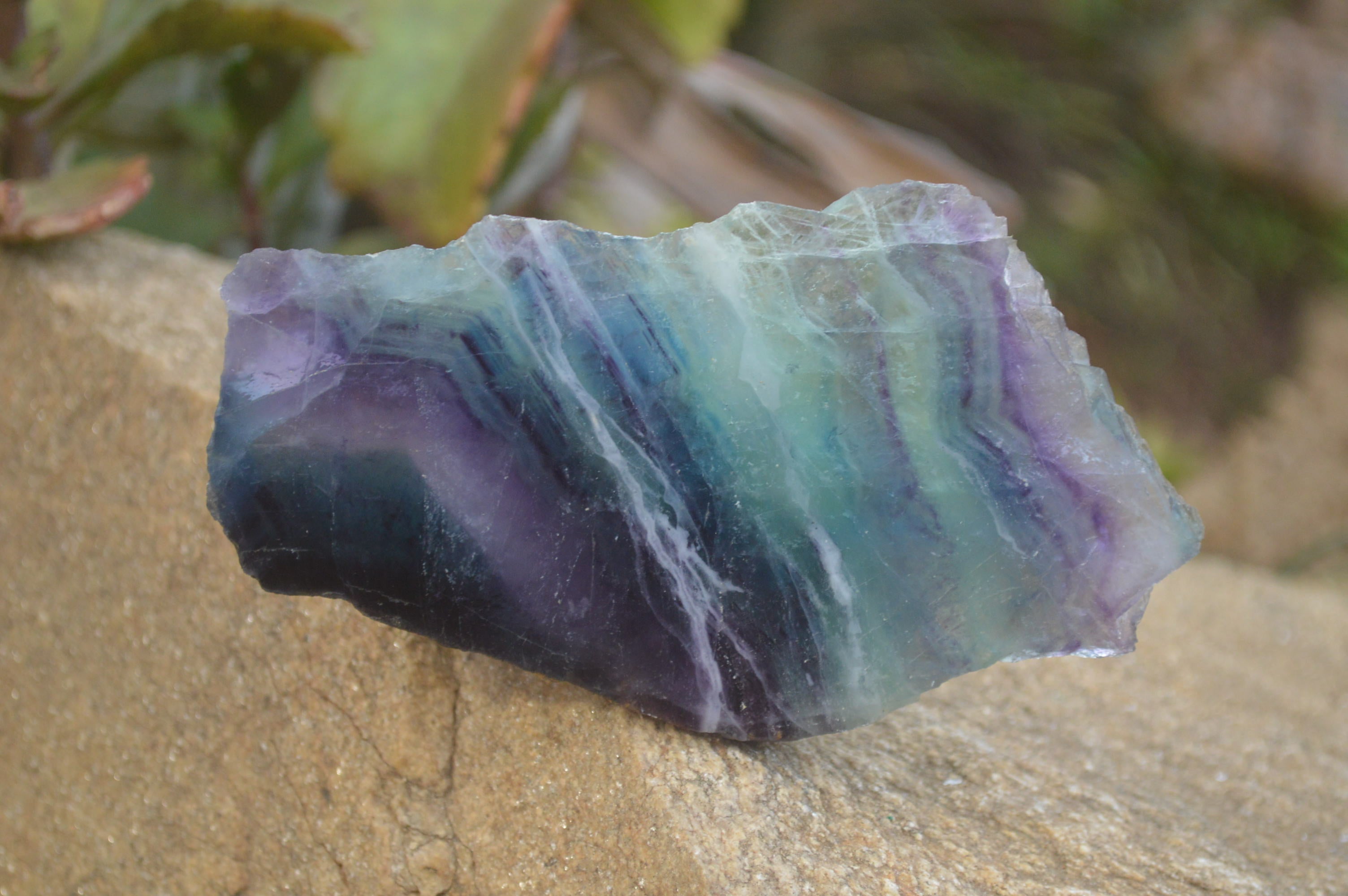 Polished On One Side Watermelon Fluorite Specimens x 6 From Uis, Namibia - Toprock Gemstones and Minerals 