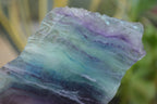 Polished On One Side Watermelon Fluorite Specimens x 6 From Uis, Namibia - Toprock Gemstones and Minerals 