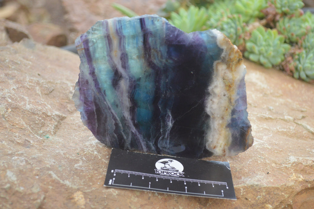 Polished On One Side Watermelon Fluorite Specimens x 6 From Uis, Namibia - Toprock Gemstones and Minerals 