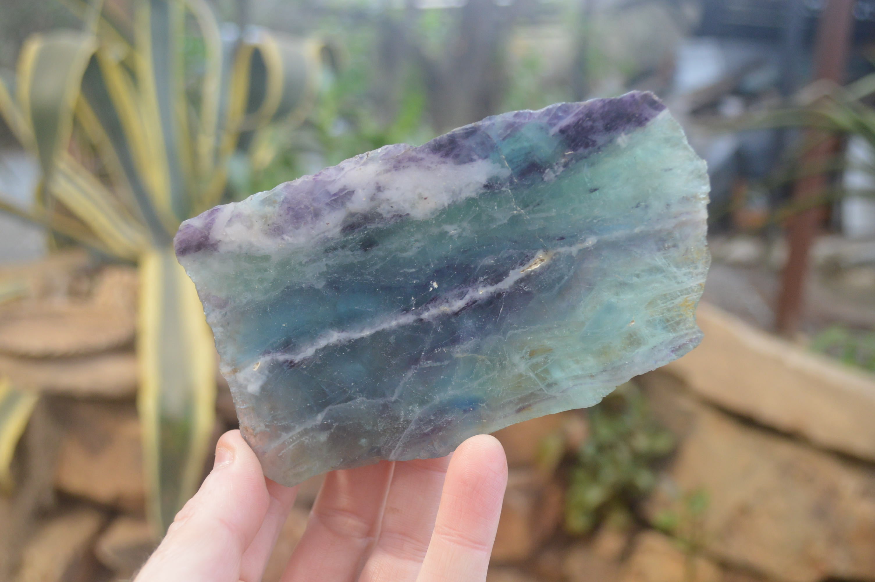 Polished On One Side Watermelon Fluorite Specimens x 6 From Uis, Namibia - Toprock Gemstones and Minerals 